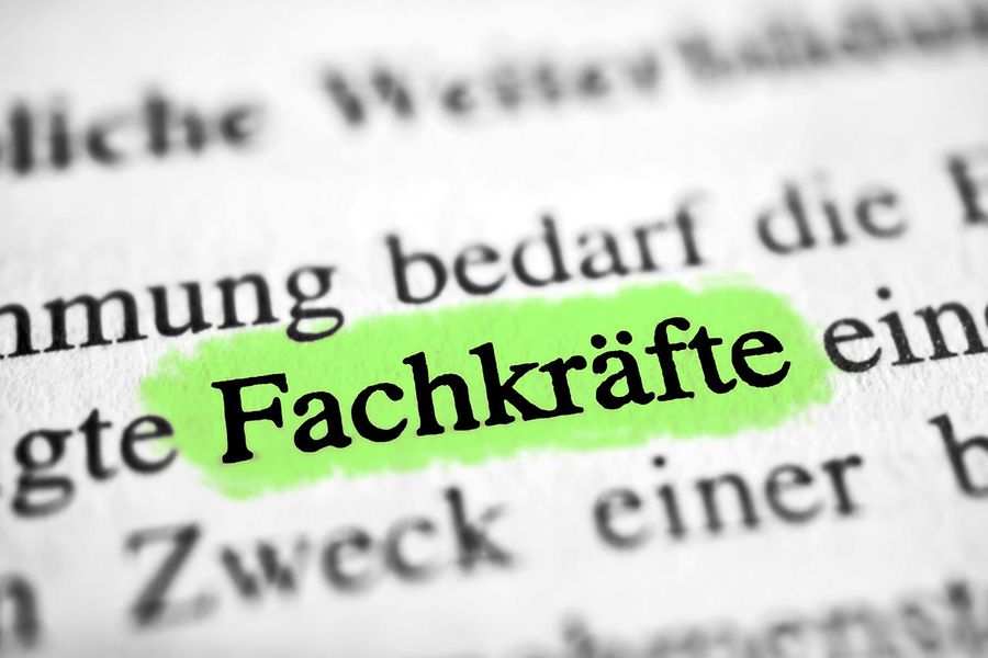 Fachkräfte